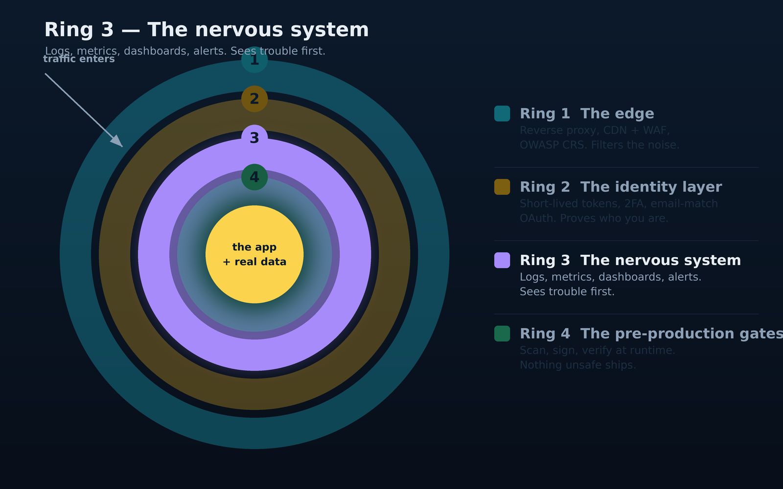 part3-ring-nervous-system.png